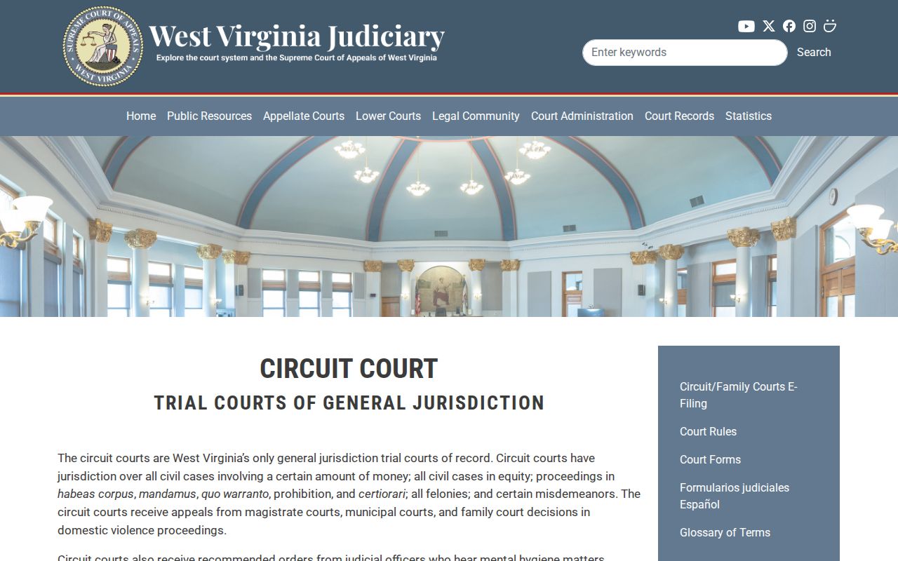 Wayne County criminal court docket context from the circuit court overview